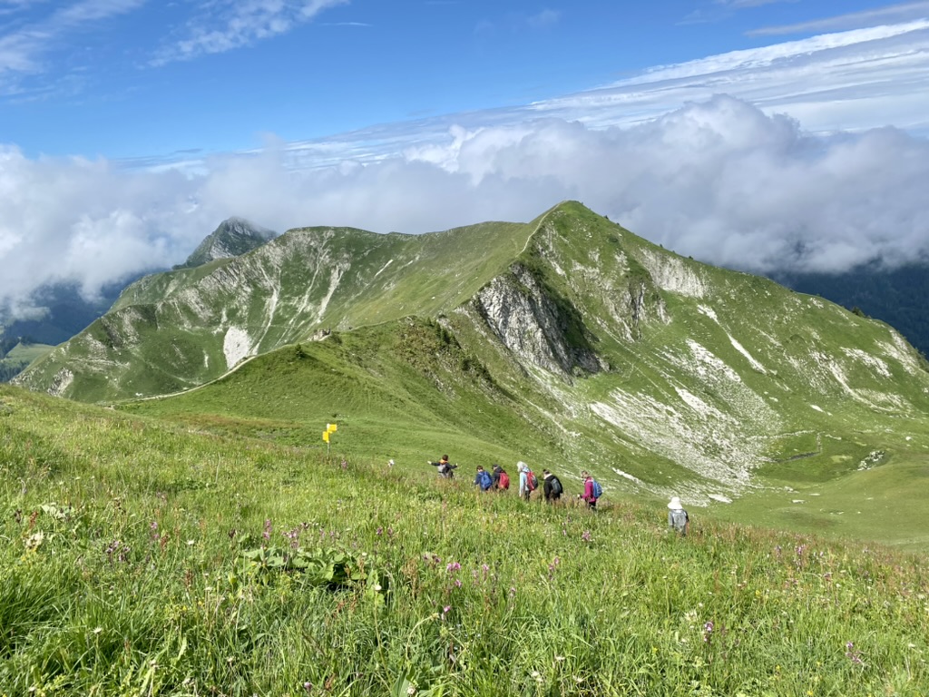 Groupe de randonneurs dans la montagne en été