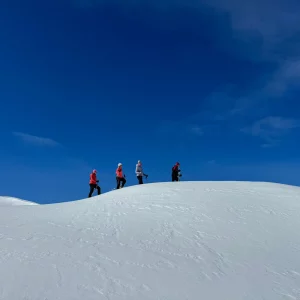 4 marcheurs sur une montagne enneigée avec un ciel bleu intense