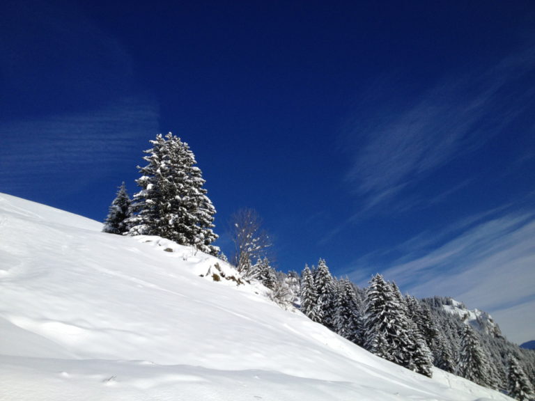 1 février 2026 – La Magie des Lacs