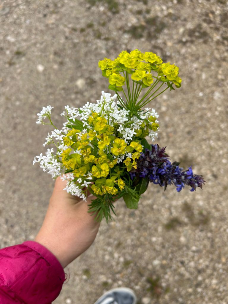 10 mai 2026 – Fête des mères en randonnée