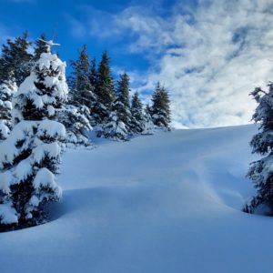 17 janvier 2026 - Survie douce en hiver – Expérience nature aux Giettes !
