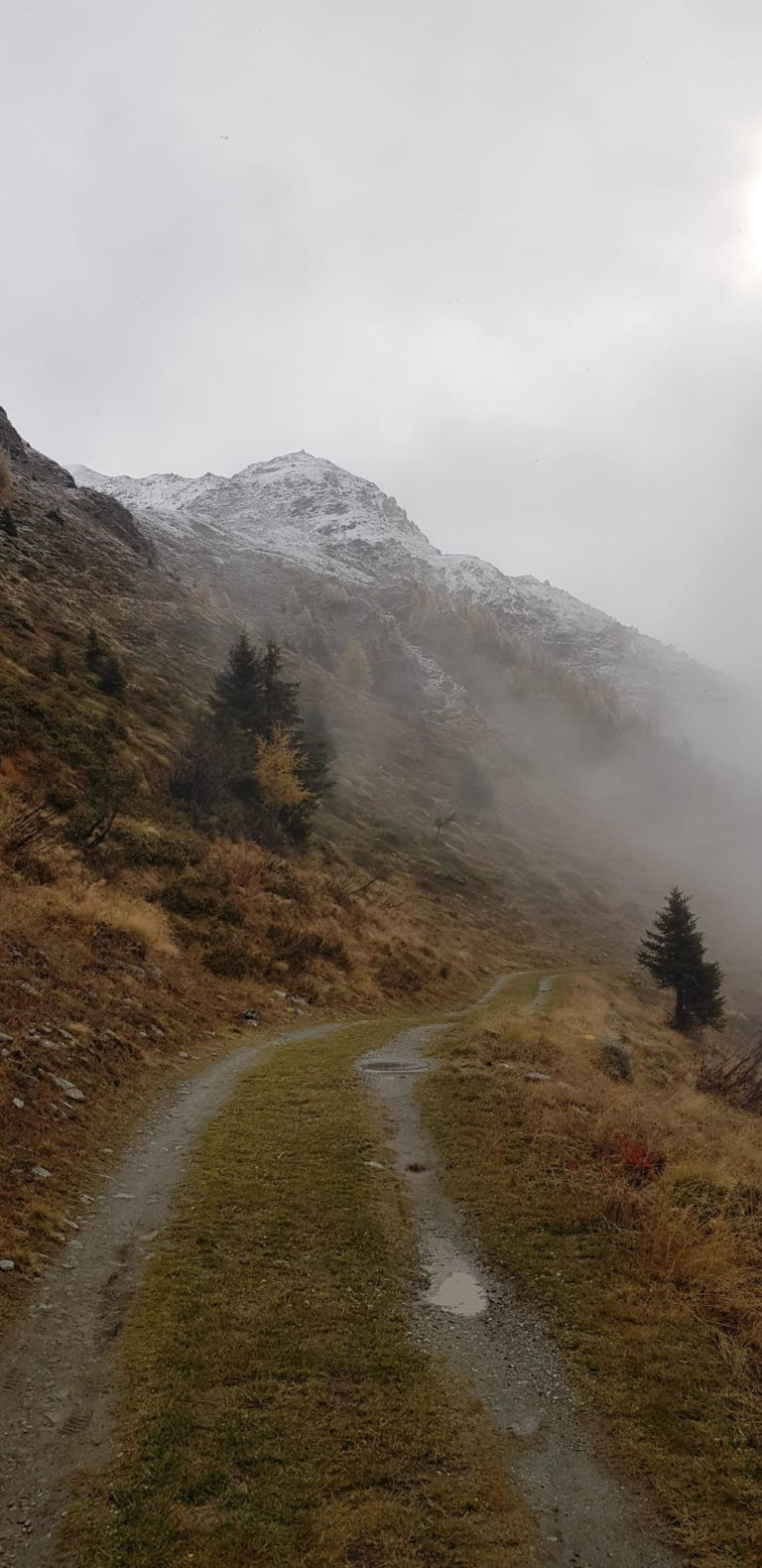 18 octobre 2026 – Sur les pas des géants: aventure et légendes sur les traces des voyageurs du Grand-Saint-Bernard