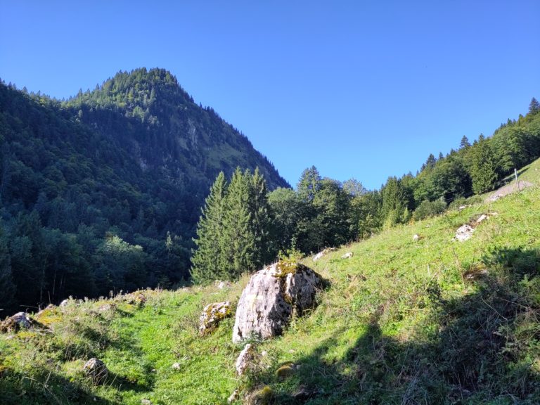 27 juin 2026 – Col de Jaman : sur les traces des armaillis de la Gruyère