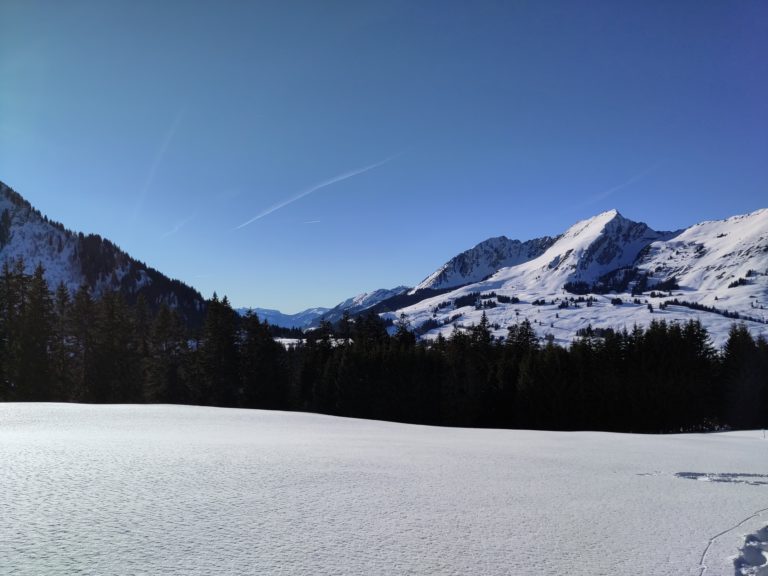 25 janvier 2026 – Rando raquettes – buvette aux Mosses – pour les familles