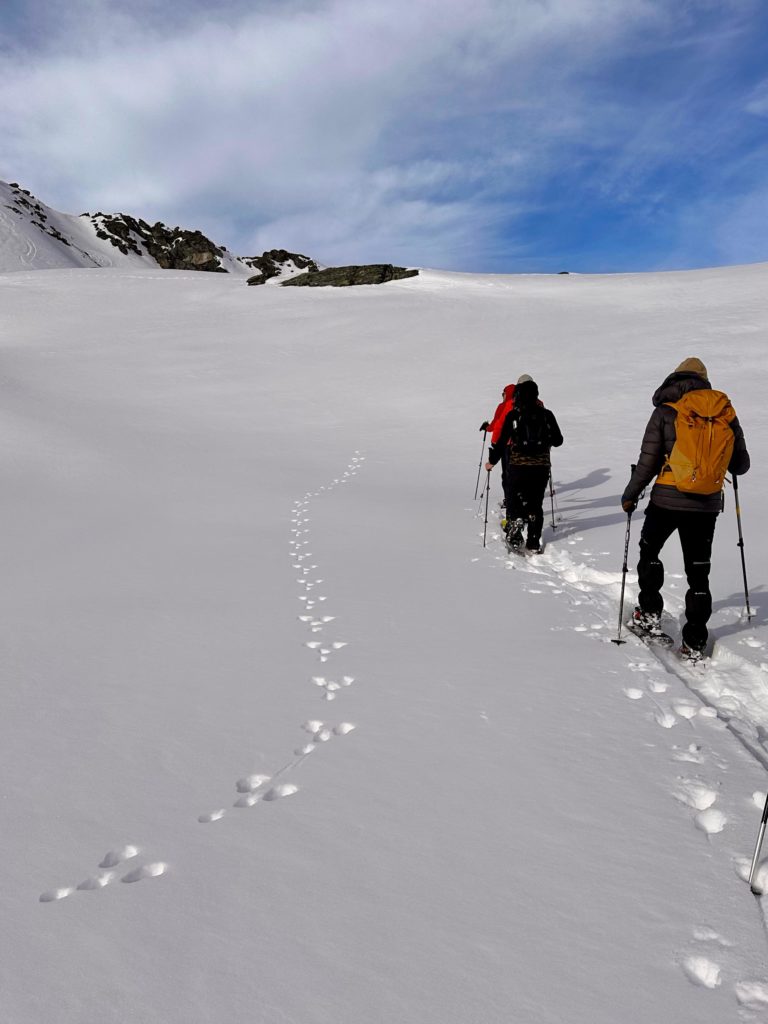 15 mars 2026 – Poésie hivernale à l’Arpille
