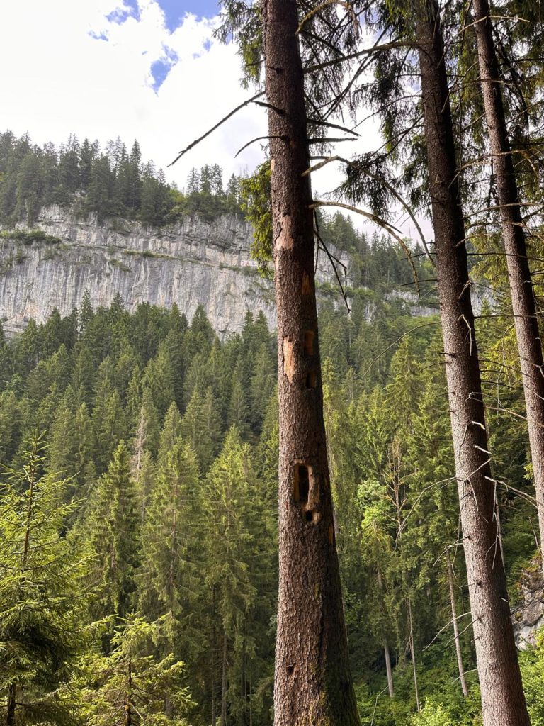 20 juin 2026 – Ecoute voir la Vallée d’Illiez