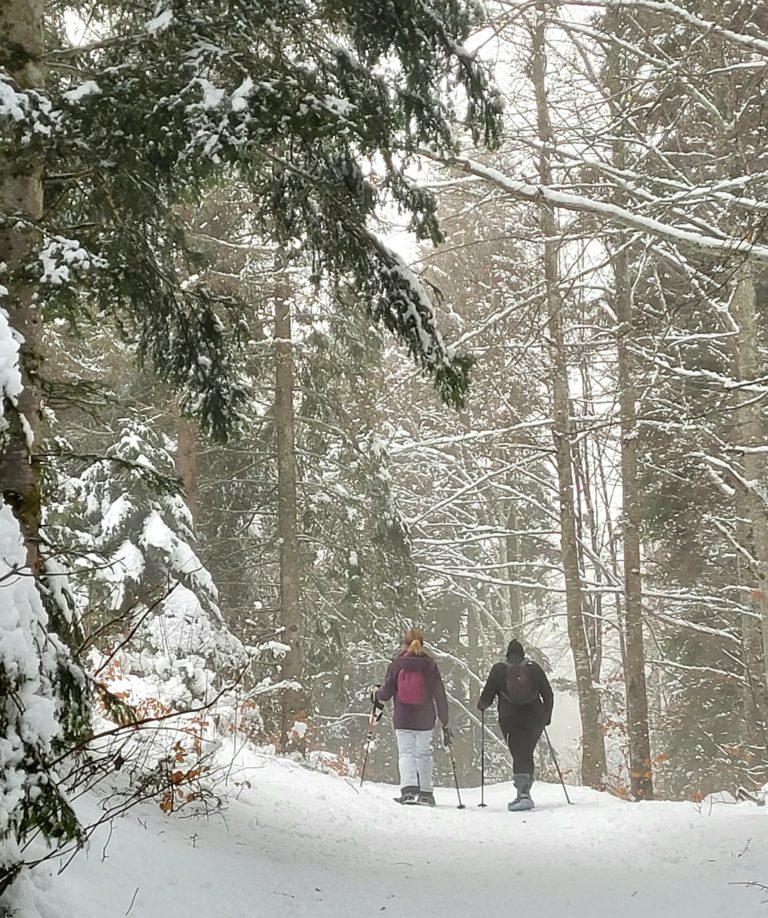 6 février 2027 – Raquettes entre Forêts et Légendes à Saint-Cergues