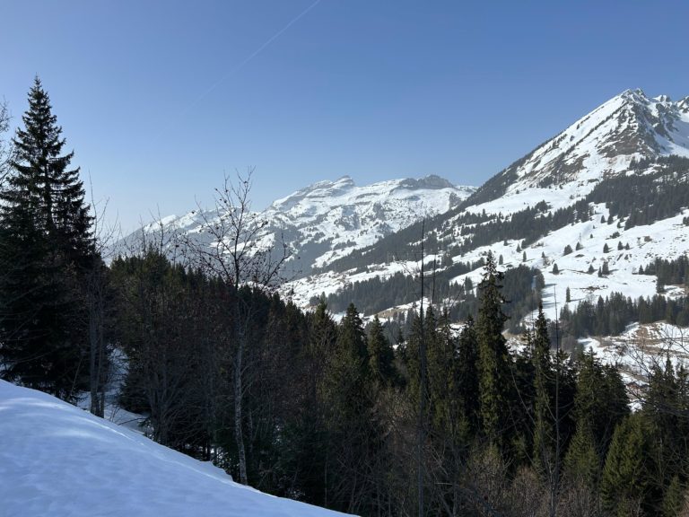 14 mars 2027 – Forêts, traces et paysages enneigés au Col des Mosses