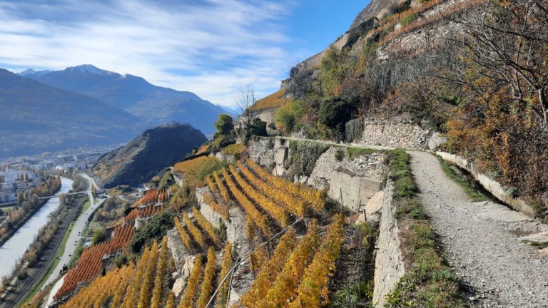 Samedi 25 septembre 2027 – Là où l&rsquo;eau fait pousser la vigne: « Les secrets du bisse de Clavau »