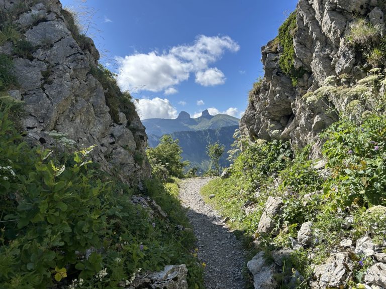 23 mai 2027 – Balade printanière entre les Rochers de Naye et Caux